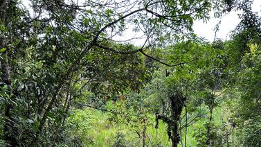 ¿Habrá relleno sanitario en finca entre Giocochea y Montes de Oca? Esto es lo que dicen los alcaldes