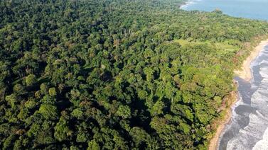 Fiscalía insta a denunciar delitos ambientales y reconoce papel de comunidades en protección de áreas silvestres