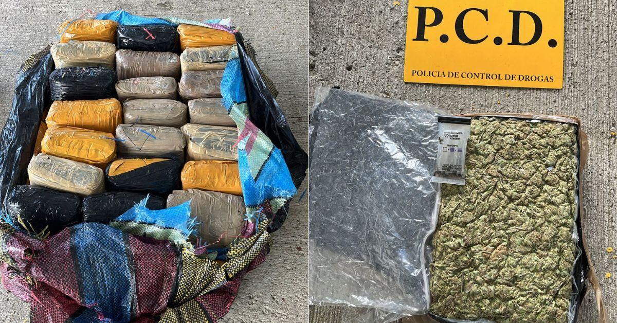 Tras inspeccionar su interior, las autoridades hallaron 57 sacos con 1.500 kilos de marihuana en su interior. (Foto: cortesía MSP)