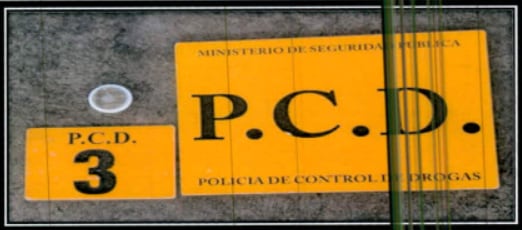 CASO CLARIVIDENTE
