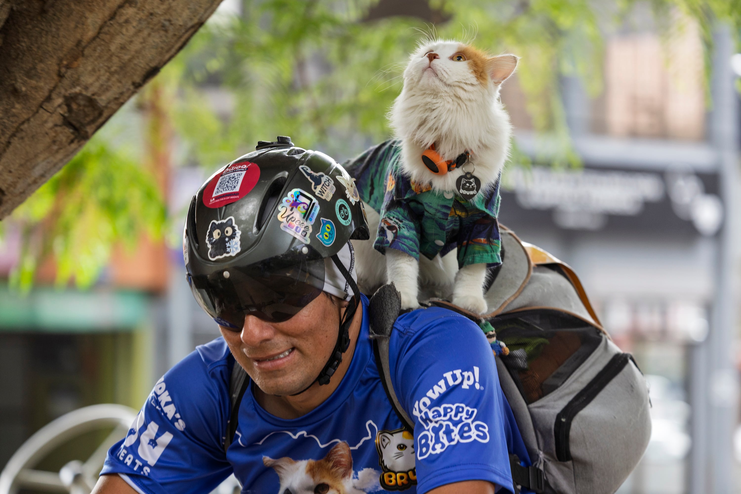 17/03/2026, San José, Tibás, entrevista con Diego Zamora dueño de Bruno, un gato que es su mascota y anda con el por todo el país en bicicleta.