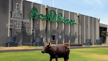 Dos Pinos anuncia feria de empleo: así puede aplicar y entregar su currículum