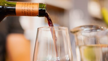 Wine Picnic 2024: Un fiesta para los sentidos en Campo Lago