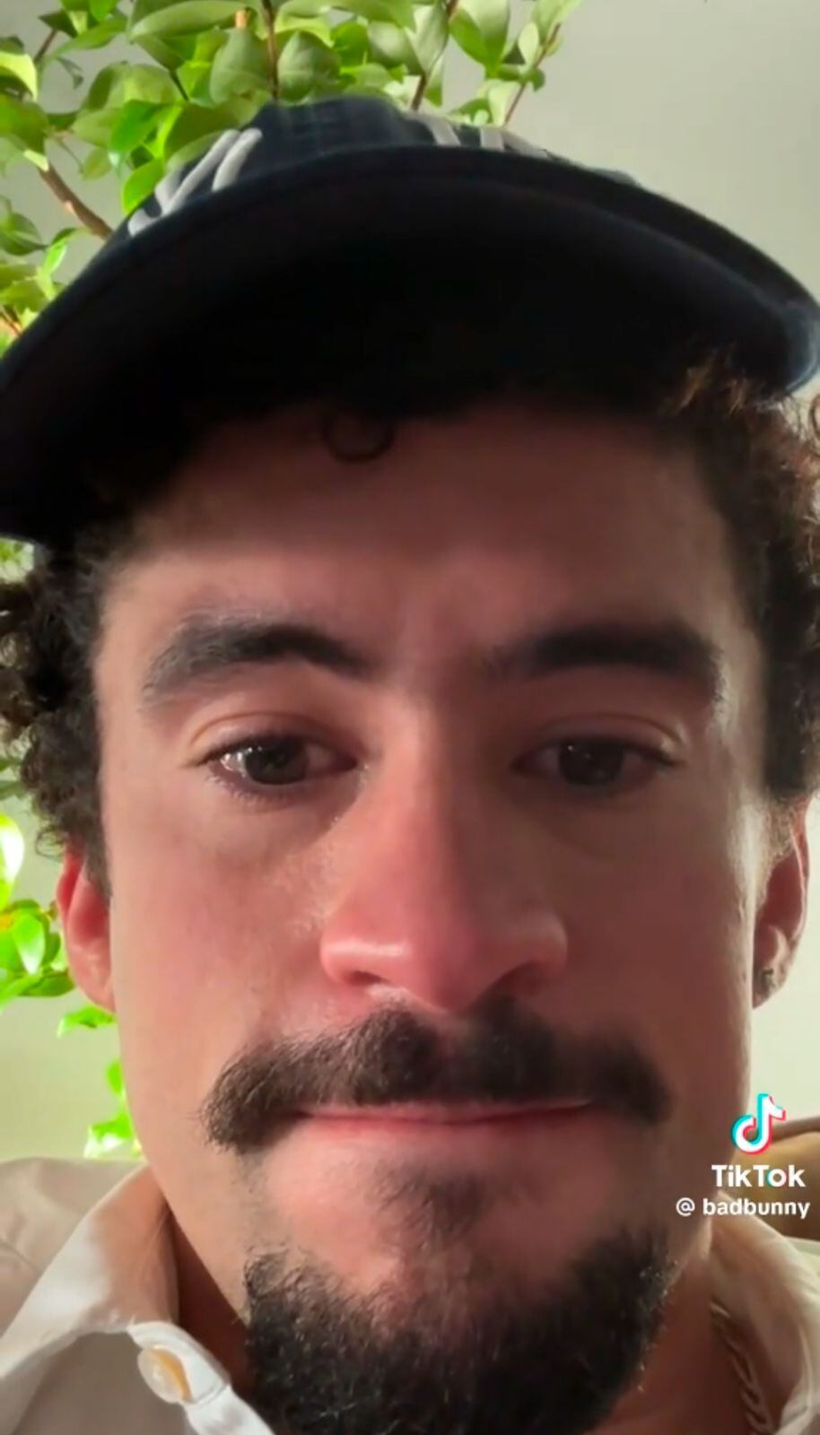 Debí tirar más fotos