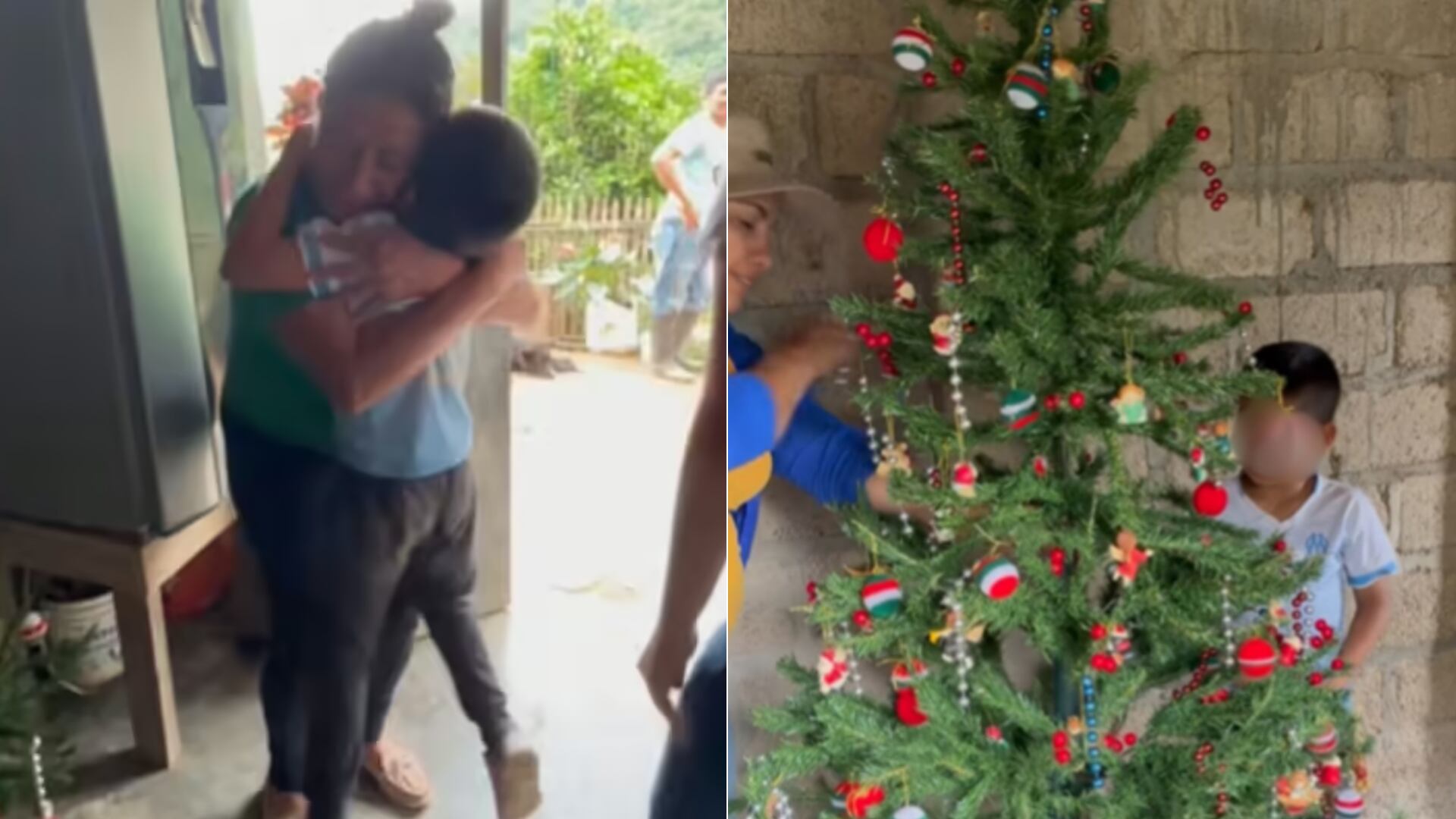 Pipe solo quería un árbol para compartir con su abuela. Su deseo se cumplió gracias a un influencer, y su historia conmovió a miles.