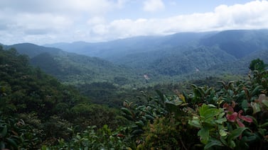 Bosques son insuficientes para compensar emisiones causantes del cambio climático en Costa Rica