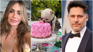 Sofía Vergara y Joe Manganiello luchan por la custodia de su perrita
