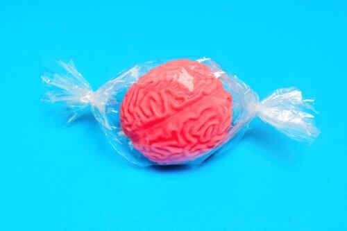 Los plásticos tienden a acumularse en el cerebro, y la mayoría son partículas nanométricas similares a fragmentos.