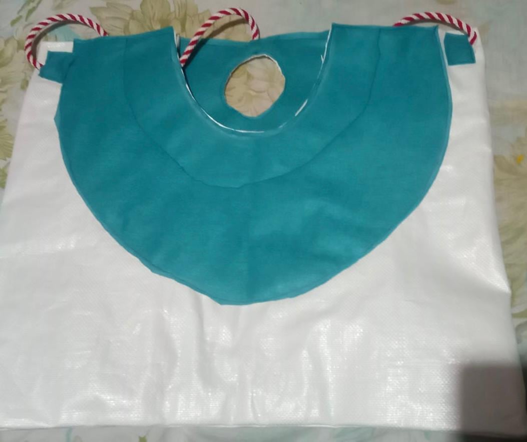 Cuatro vecinas de Guácimo de Limón crearon un emprendimiento para elaborar pañales para mulas que son empleadas en una finca bananera de la zona.