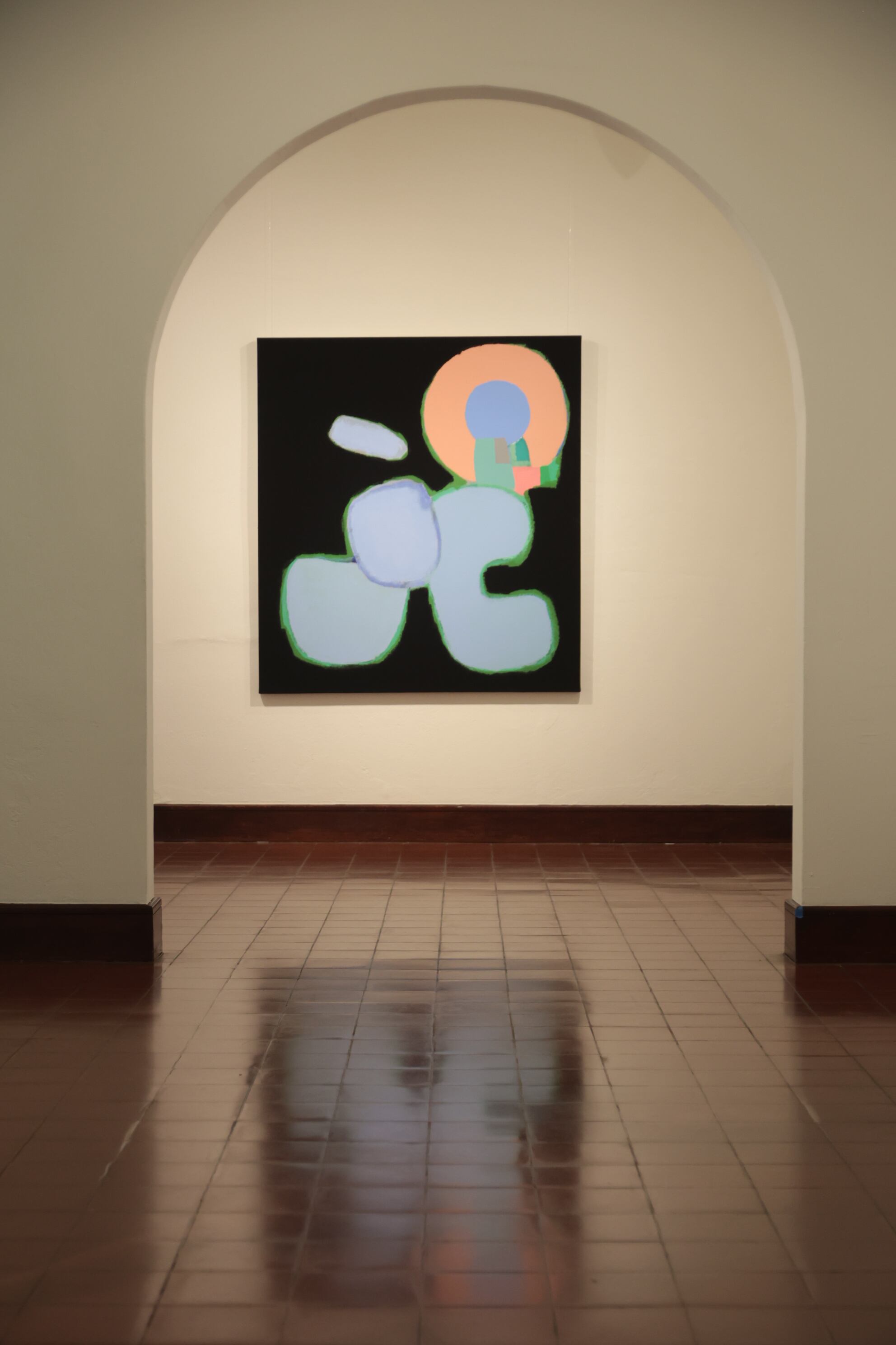 exposición del artista Federico Herrero en el Museo de Arte Costarricense