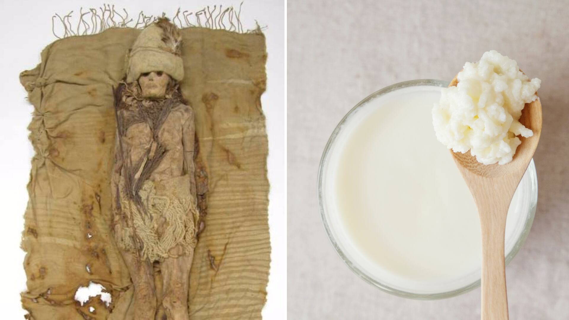 Descubren en China queso de hace 3.600 años, revelando nuevos datos sobre kéfir y la evolución de bacterias probióticas.
