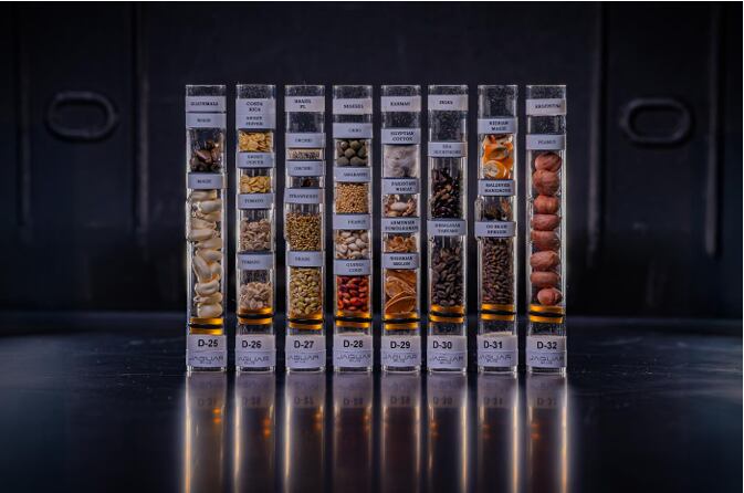 Frascos con semillas.