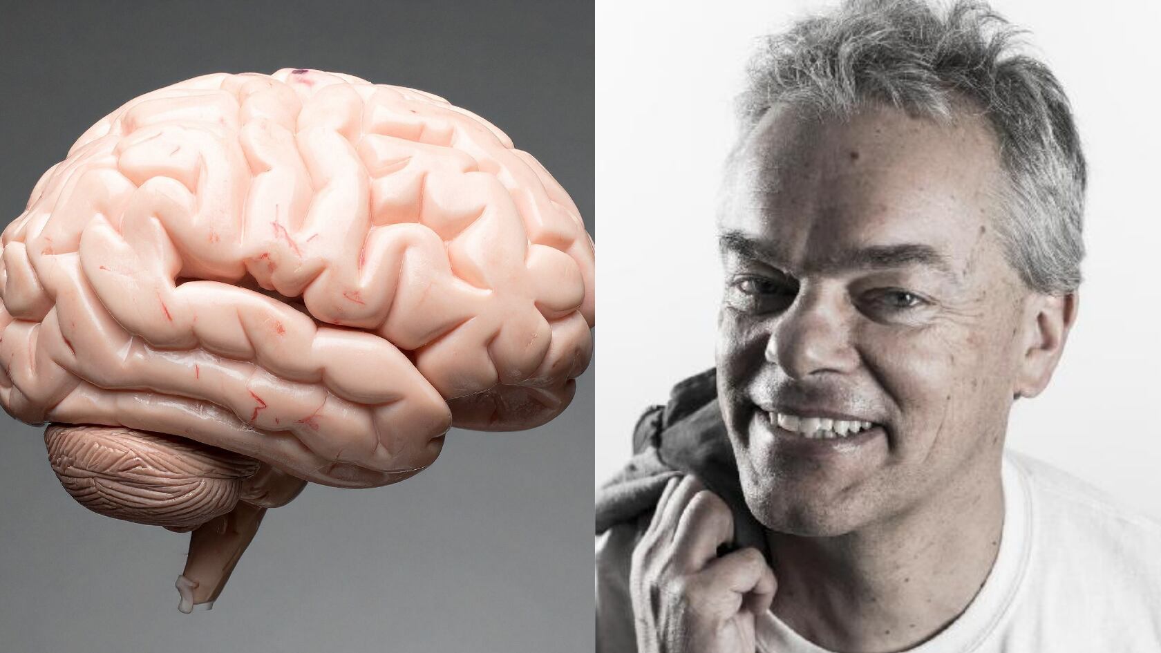 Las células que forman el “GPS del cerebro” fueron explicadas por el Nobel Edvard Moser. Sus hallazgos ayudan a estudiar la memoria y el Alzheimer.