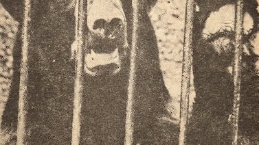 Hace 50 años: Zoológico Simón Bolívar produce ¢200.000 al año