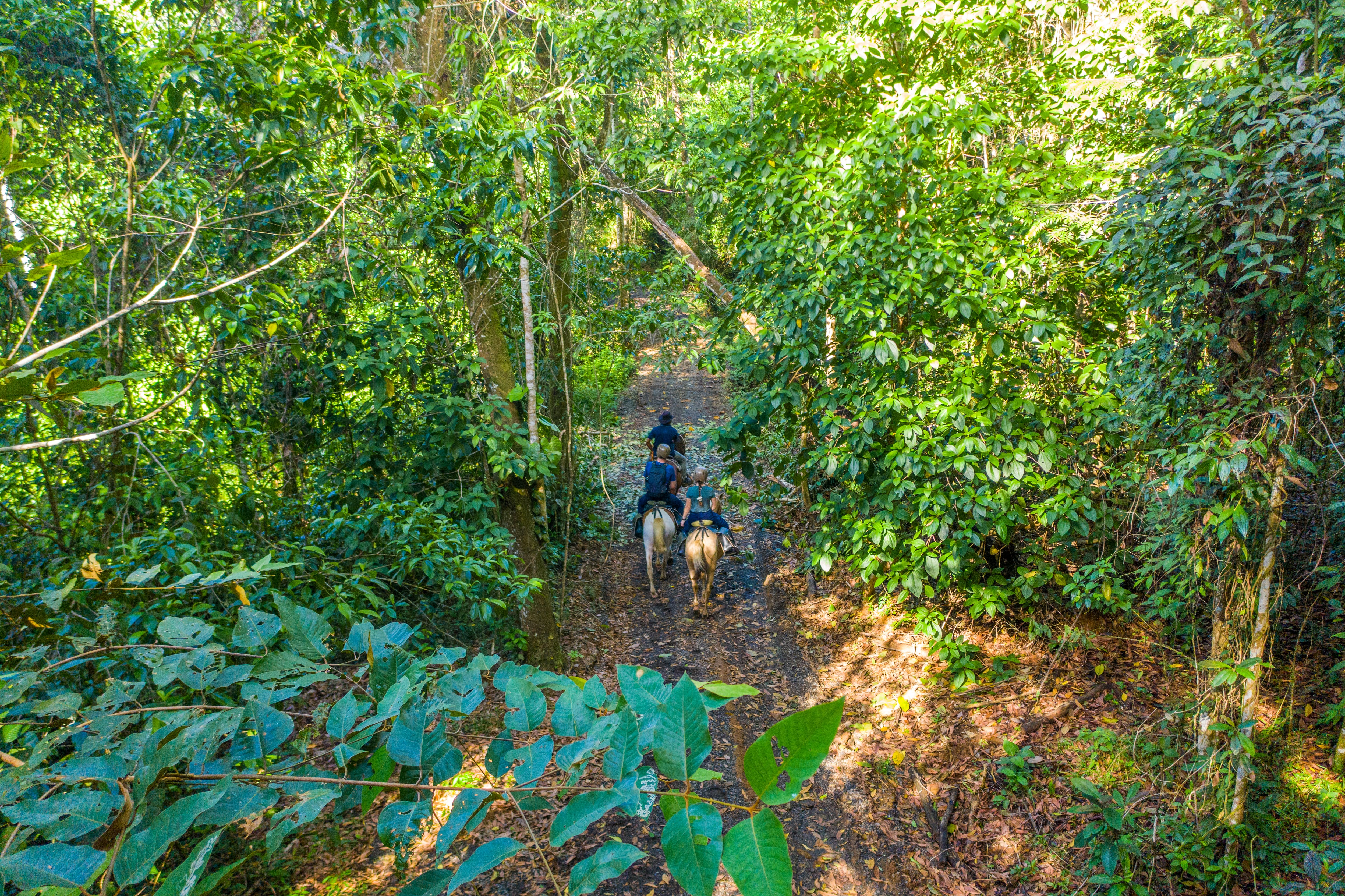MAQUENQUE LODGE PERFIL