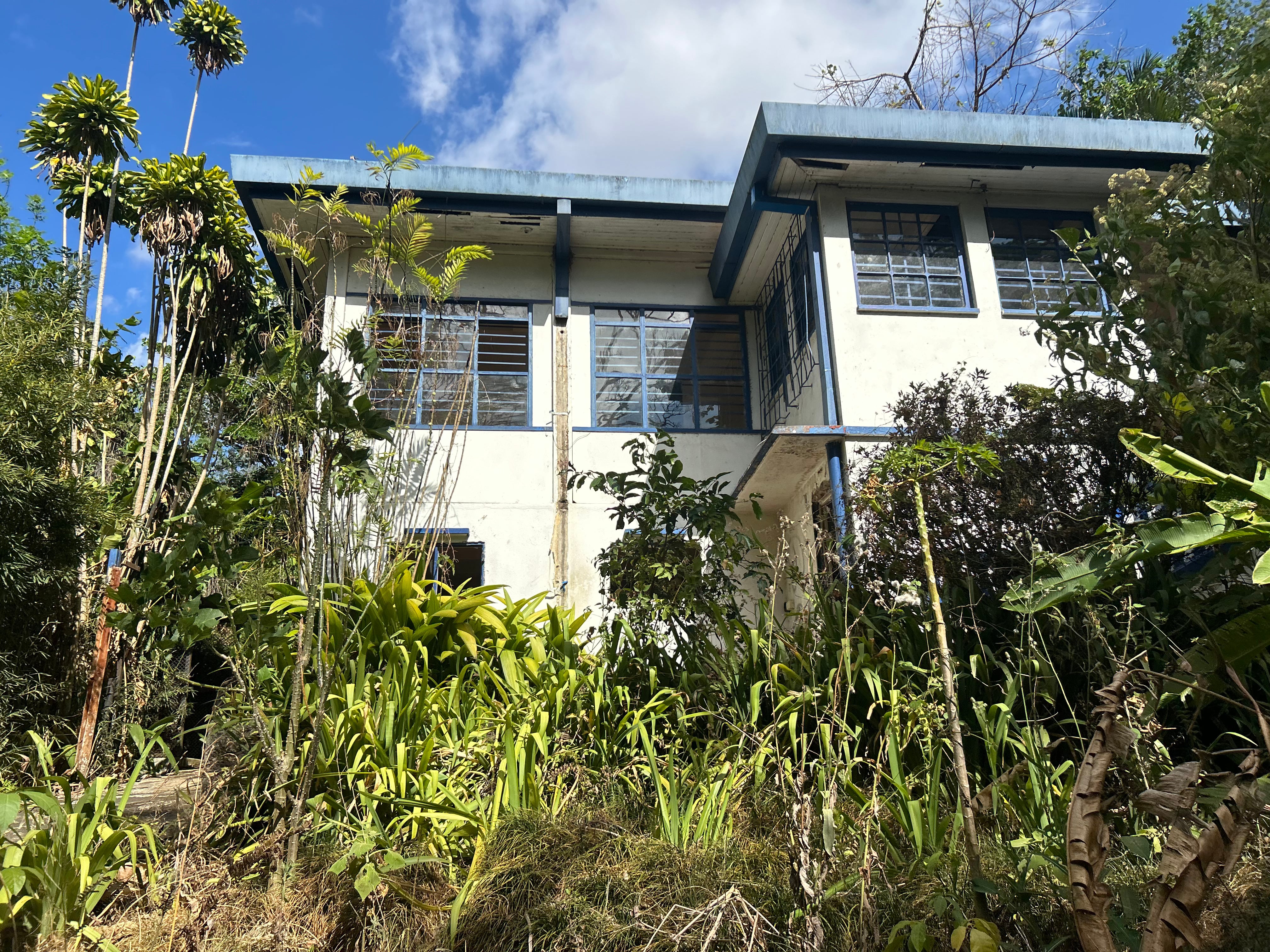 Simón Bolívar EXCLUSIVO VIVA