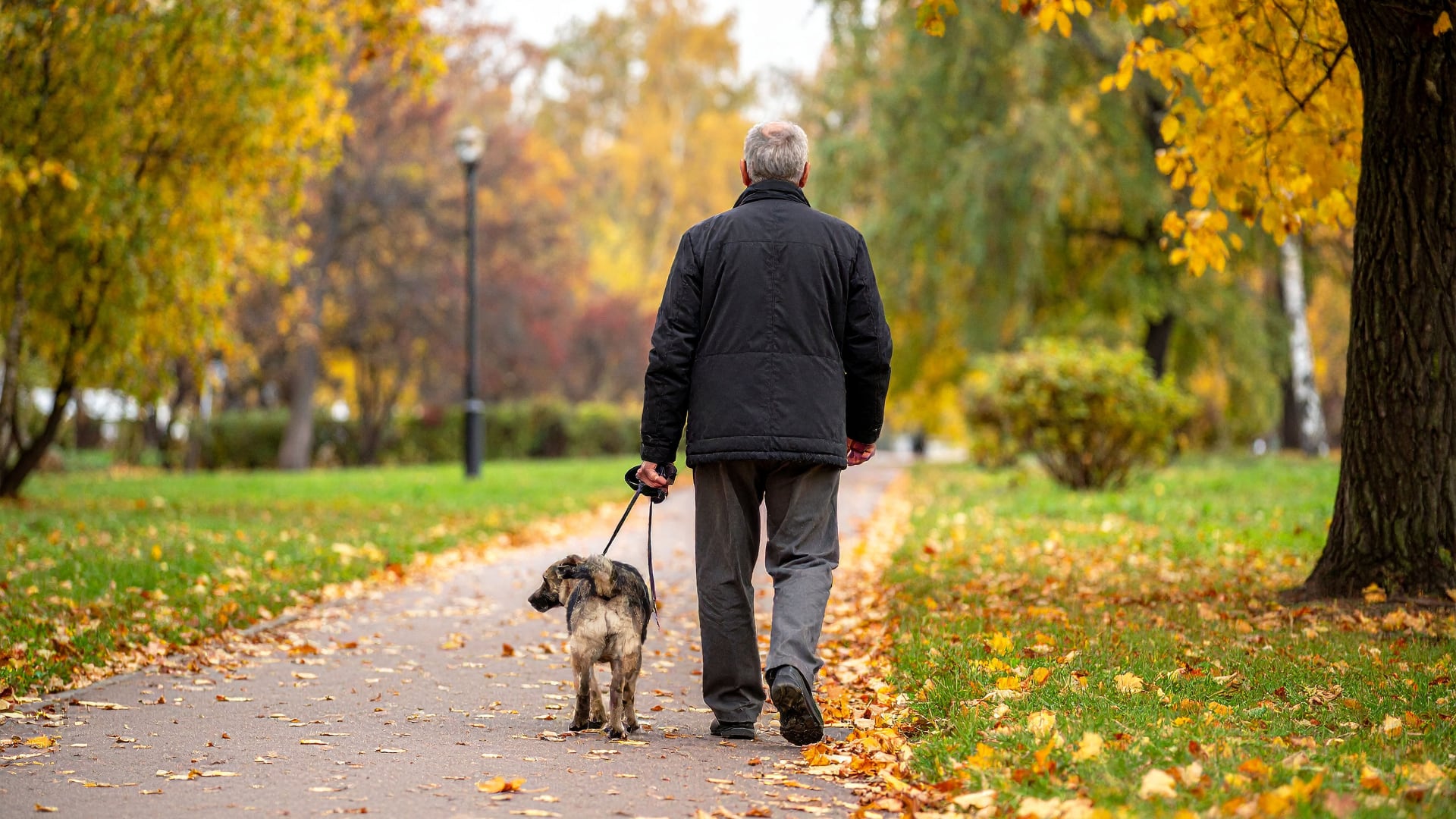 Rory MacLeod murió en un atropello en Estados Unidos. La responsable tenía 100 arrestos y 82 órdenes judiciales pendientes.