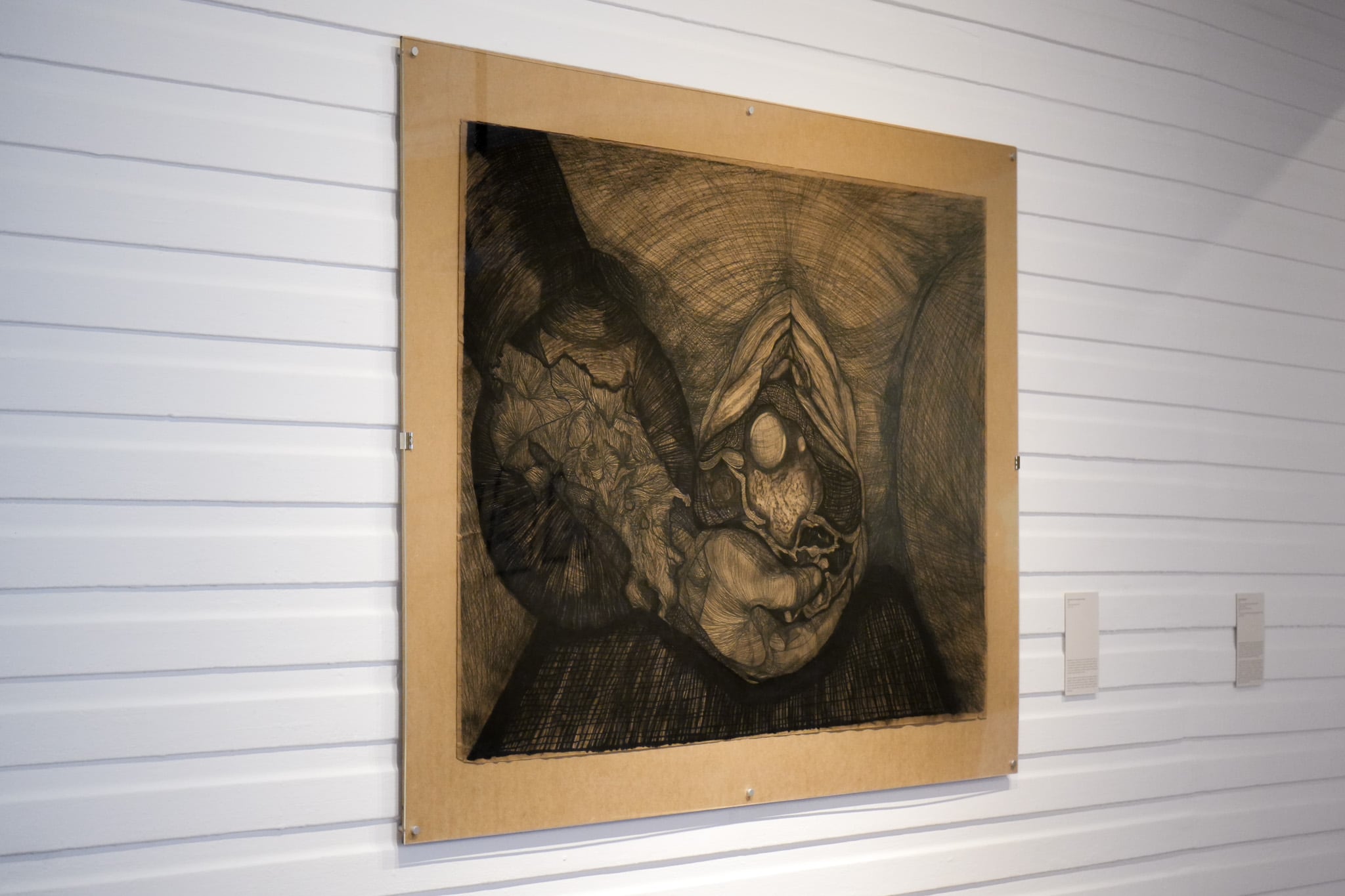 'Nacimiento, mi madre parió una jícara', 2020, carbón sobre papel kraft, 1,45 × 1,5 m, de Verónica Navas.