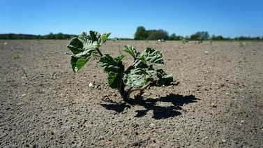 Honduras declara en alerta casi el 80% de su territorio por El Niño