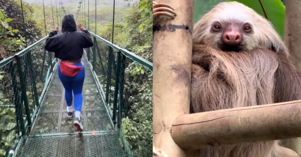 Costa Rica recibió la visita de la youtuber venezolana Andrea Deibis, quien compartió su travesía por las montañas nacionales.