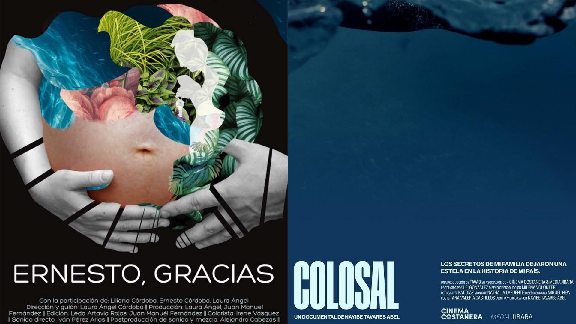 Posters de 'Ernesto, gracias' y 'Colosal', respectivamente.