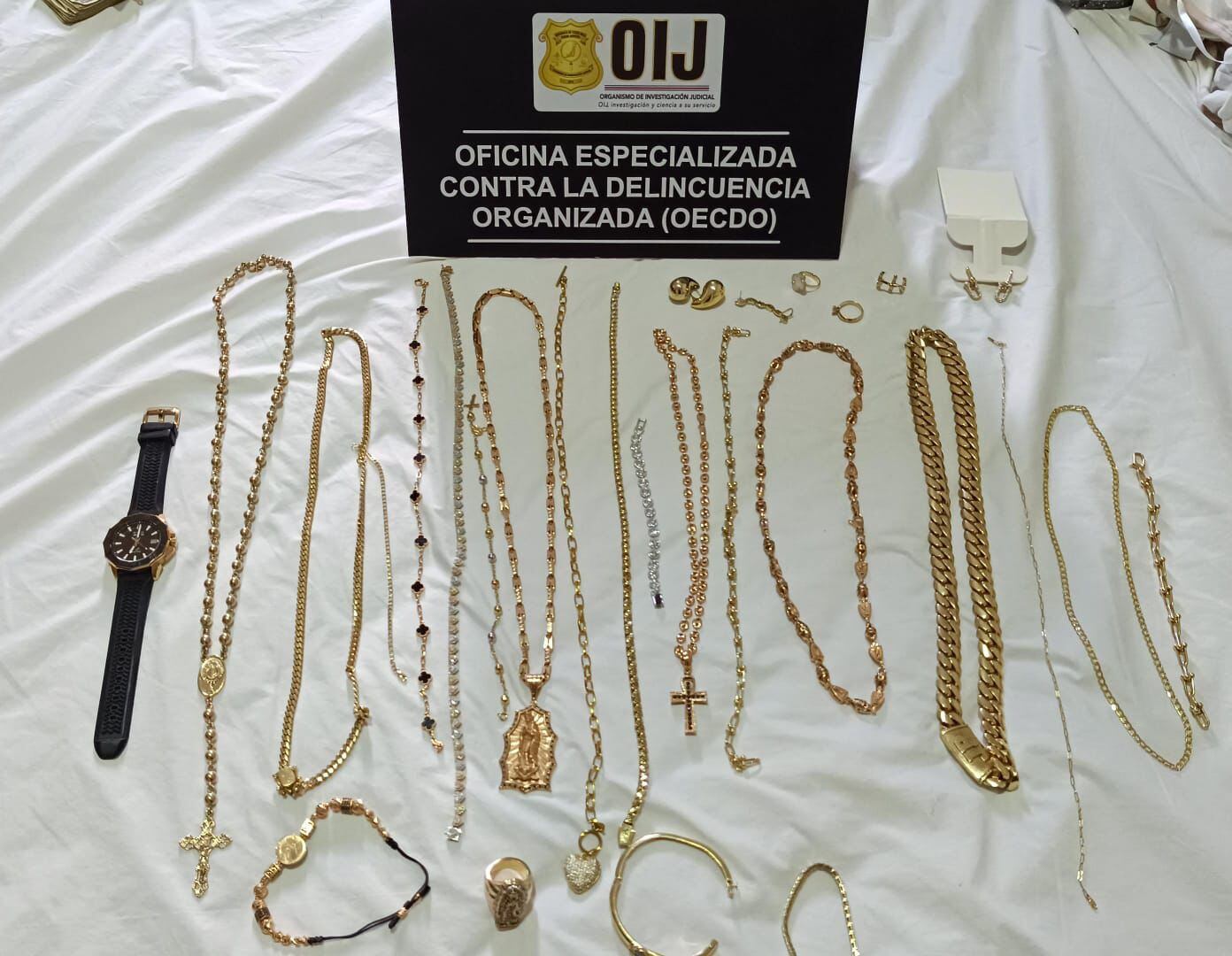 Dinero en efectivo, vehículos de lujo, botes, joya y ganado, figura entre lo decomisado por el OIJ al cartel del Caribe Sur.