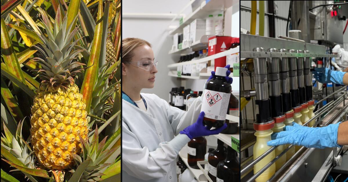 El sector agrícola, la industria alimenticia y el sector farmacéutico, lideran las exportaciones de bienes de Costa Rica, tras los dispositivos médicos.