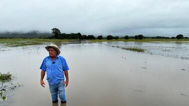 Lluvias causaron daños por ¢23.000 millones en café y ¢1.982 millones en arroz