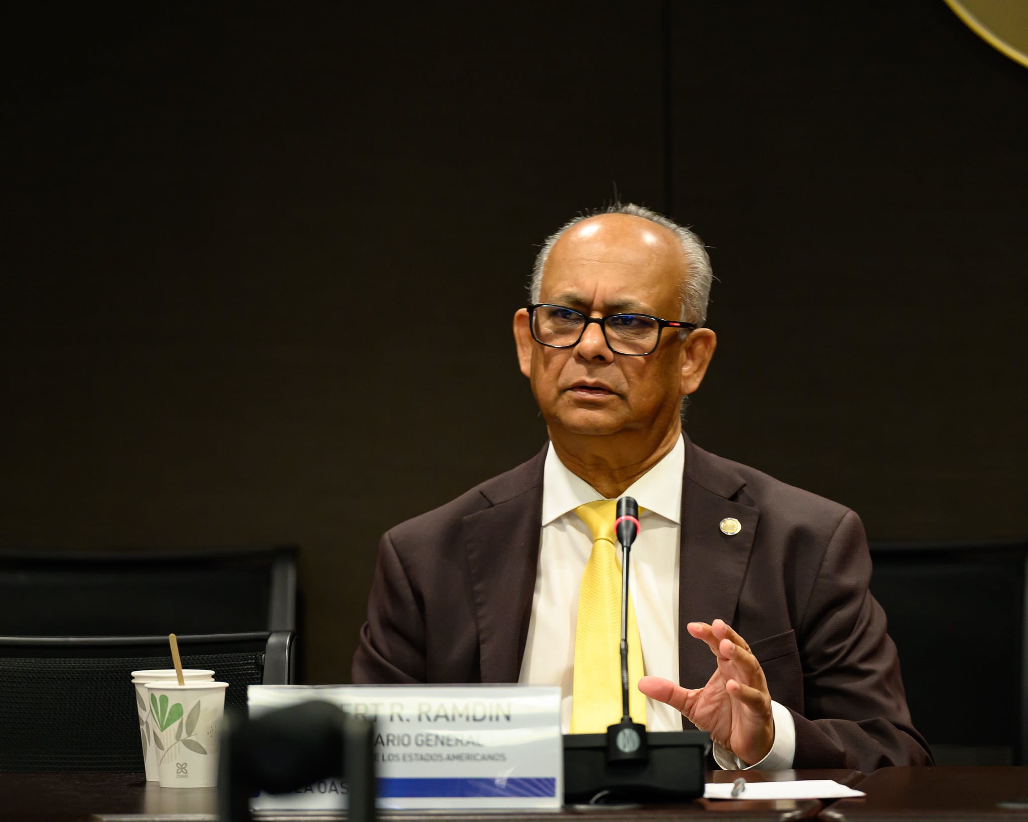 Albert Ramchand Ramdin fue elegido en marzo de 2025 para fungir como Secretario General de la OEA hasta 2030.