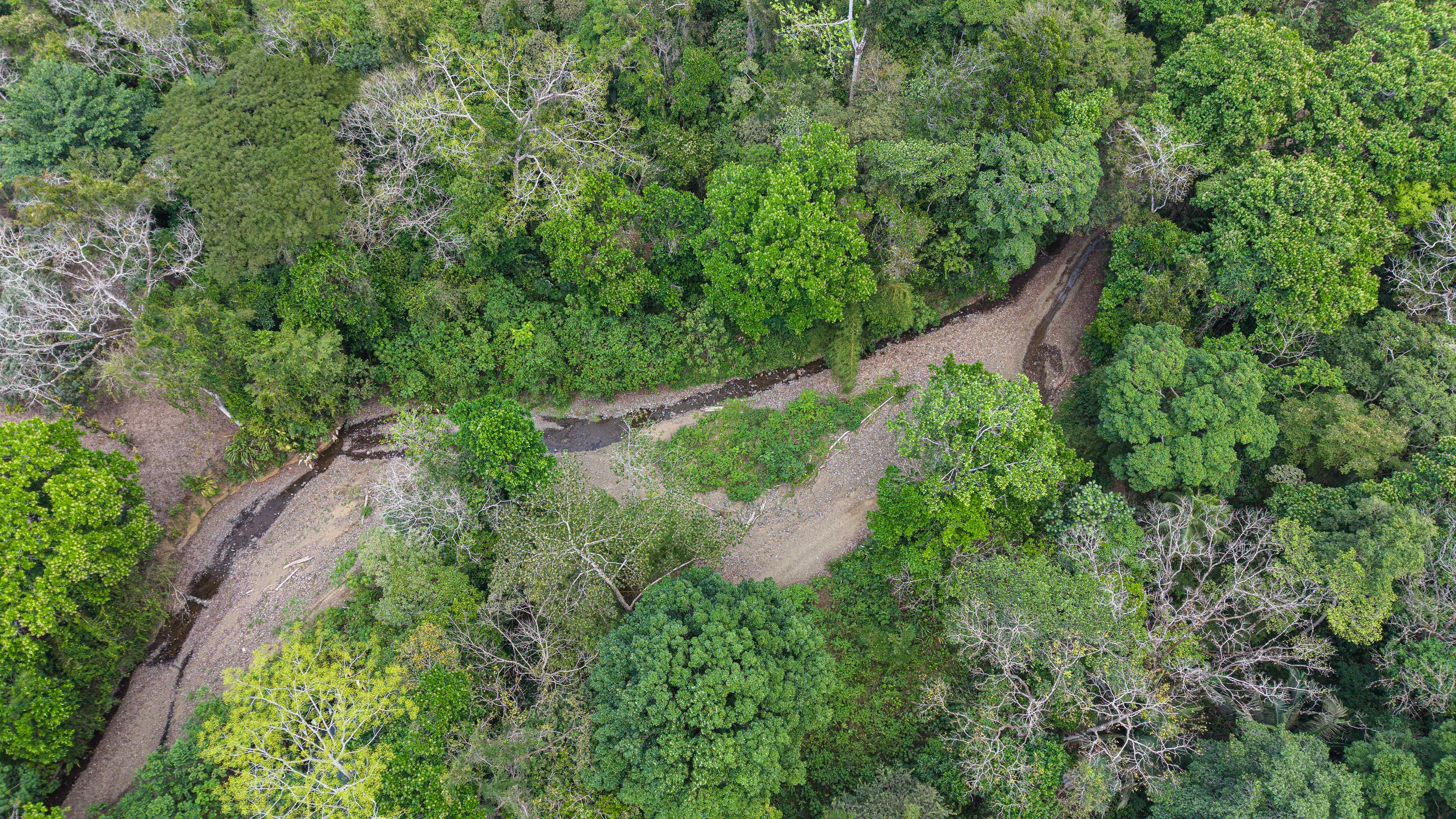Pueblo Nuevo ( La Mona )