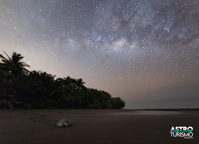 Categoría Naturaleza Nocturna: Tortuga galáctica. El Refugio Nacional de Vida Silvestre Playa Hermosa (Garabito, Puntarenas), es uno de los últimos reductos de playas oscuras del pacífico central. Esto es de suma importancia para la conservación de tortugas marinas y muchas otras especies. 20s / f2.8 / ISO 5000 / 16mm. Tomada el 5/28/2024.