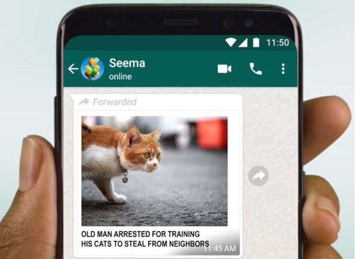 Una pantalla de teléfono móvil muestra una conversación de WhatsApp con una imagen de un gato compartida a través de la función de reenvío.