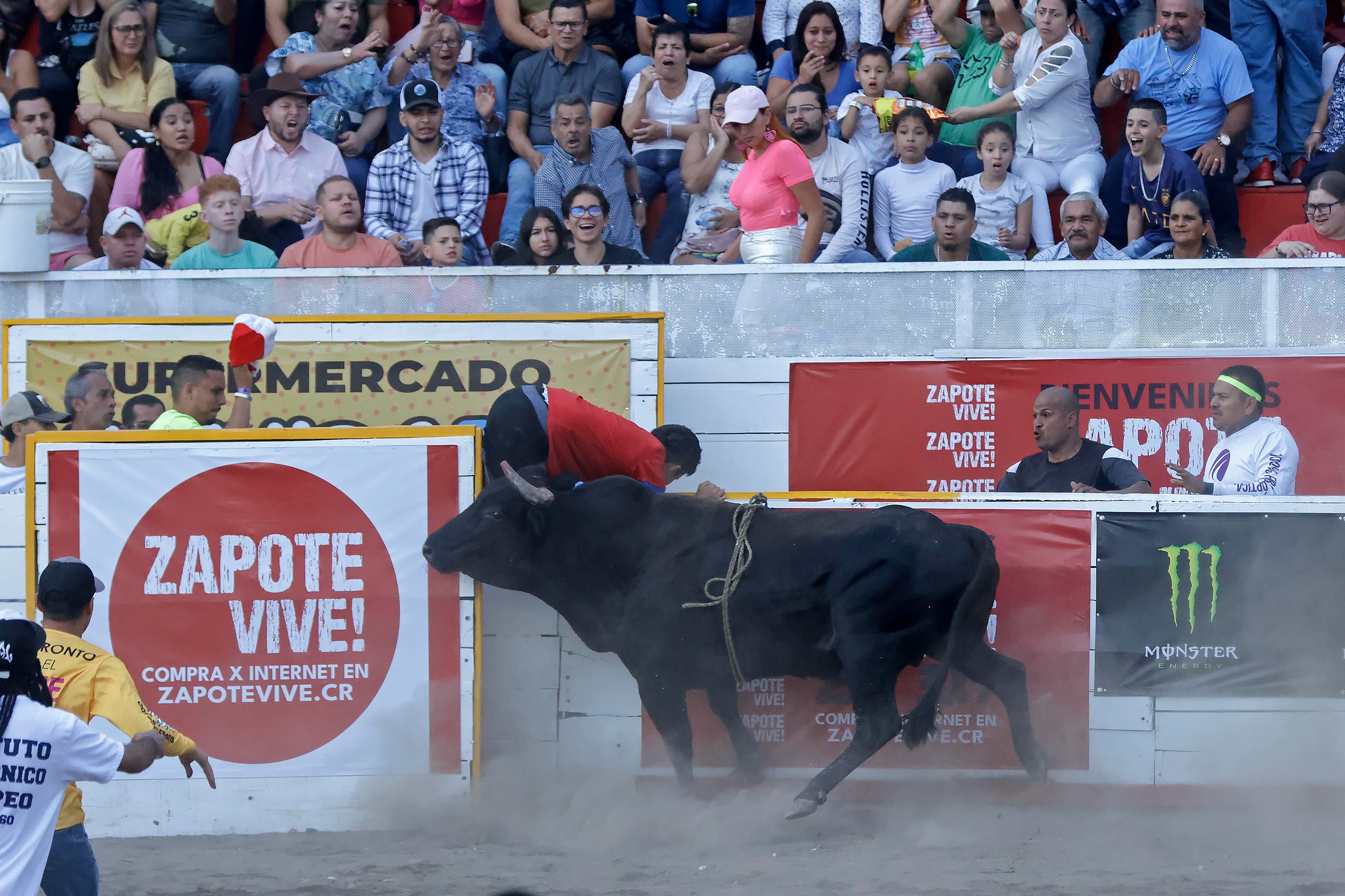 Corrida de toros - Zapote