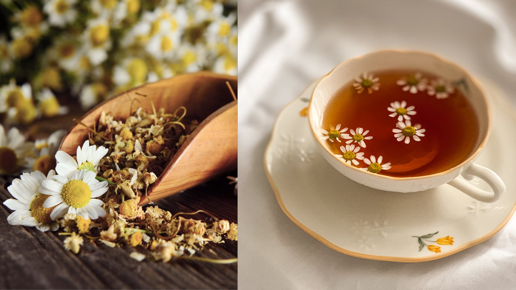La manzanilla destaca por sus antioxidantes y por su posible aporte al bienestar digestivo y hepático dentro de hábitos saludables.