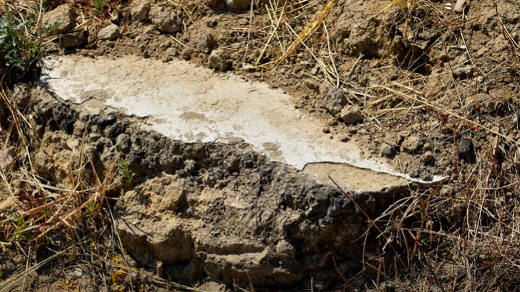 Descubren relieves epiclásicos en Tlaxcala con símbolos de poder y fertilidad. El sitio refuerza el estudio del pasado prehispánico.