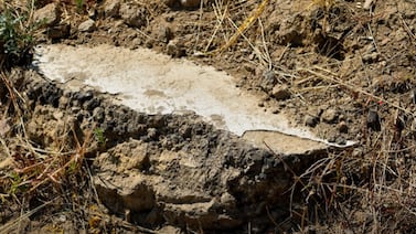 Hallazgo arqueológico en México: enigmáticos relieves decapitados destapan el poder de antiguas élites