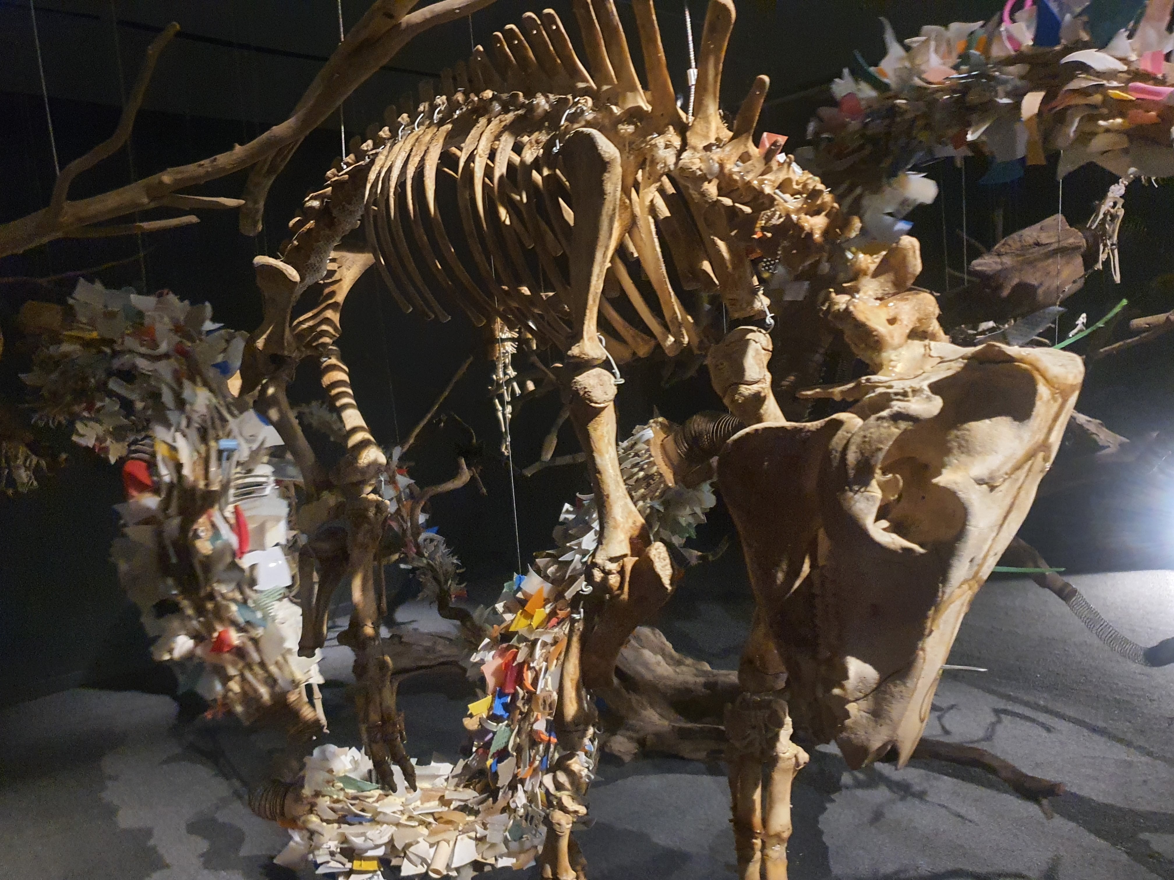 En 1999 ganó el 1er premio en la Bienal de Pintura Nicaragüense, pero fue cuestionada y rechazada por el medio artístico.