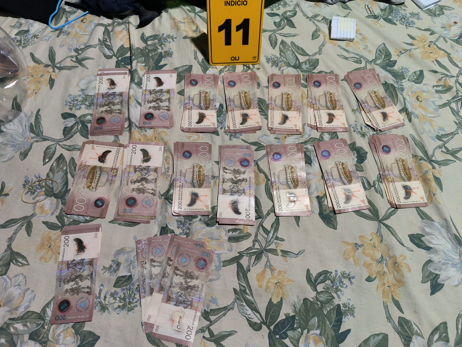 El dinero en efectivo decomisado por el OIJ incluía colones, dólares, euros y córdobas.