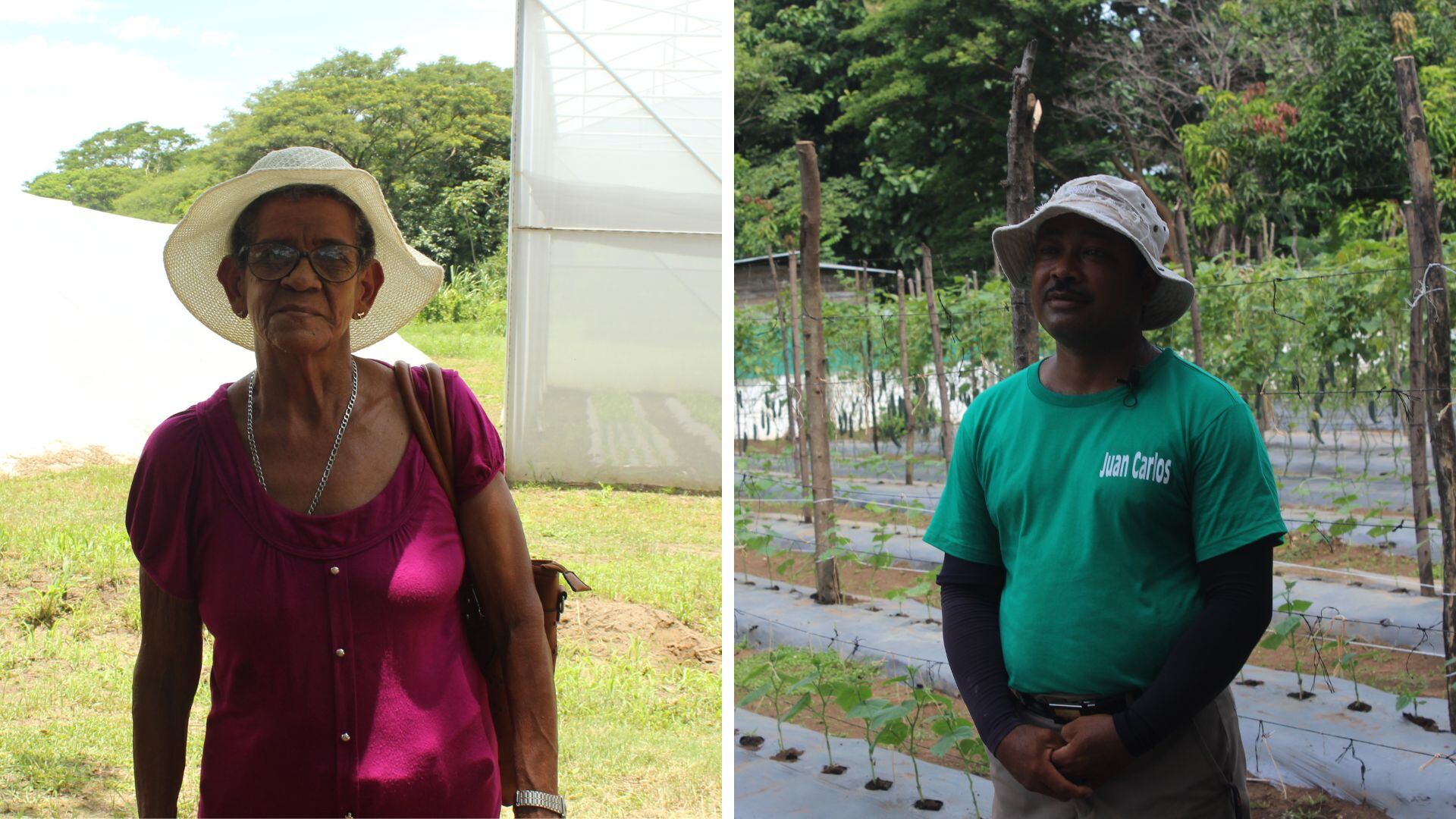 Zelmira Piña y Juan Carlos Chaves son parte del programa 'Creciendo Juntos' del MAG. Comenzaron a trabajar en la huerte desde el 2019.