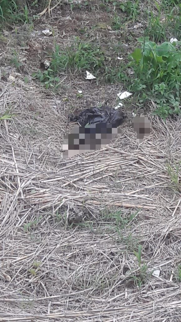 Una pareja denunció en 2019, que el sospechoso de agredir a una jueza, los amenazaba de muerte. En una ocasión les lanzó una bolsa con los restos de un perro como forma de intimidación.