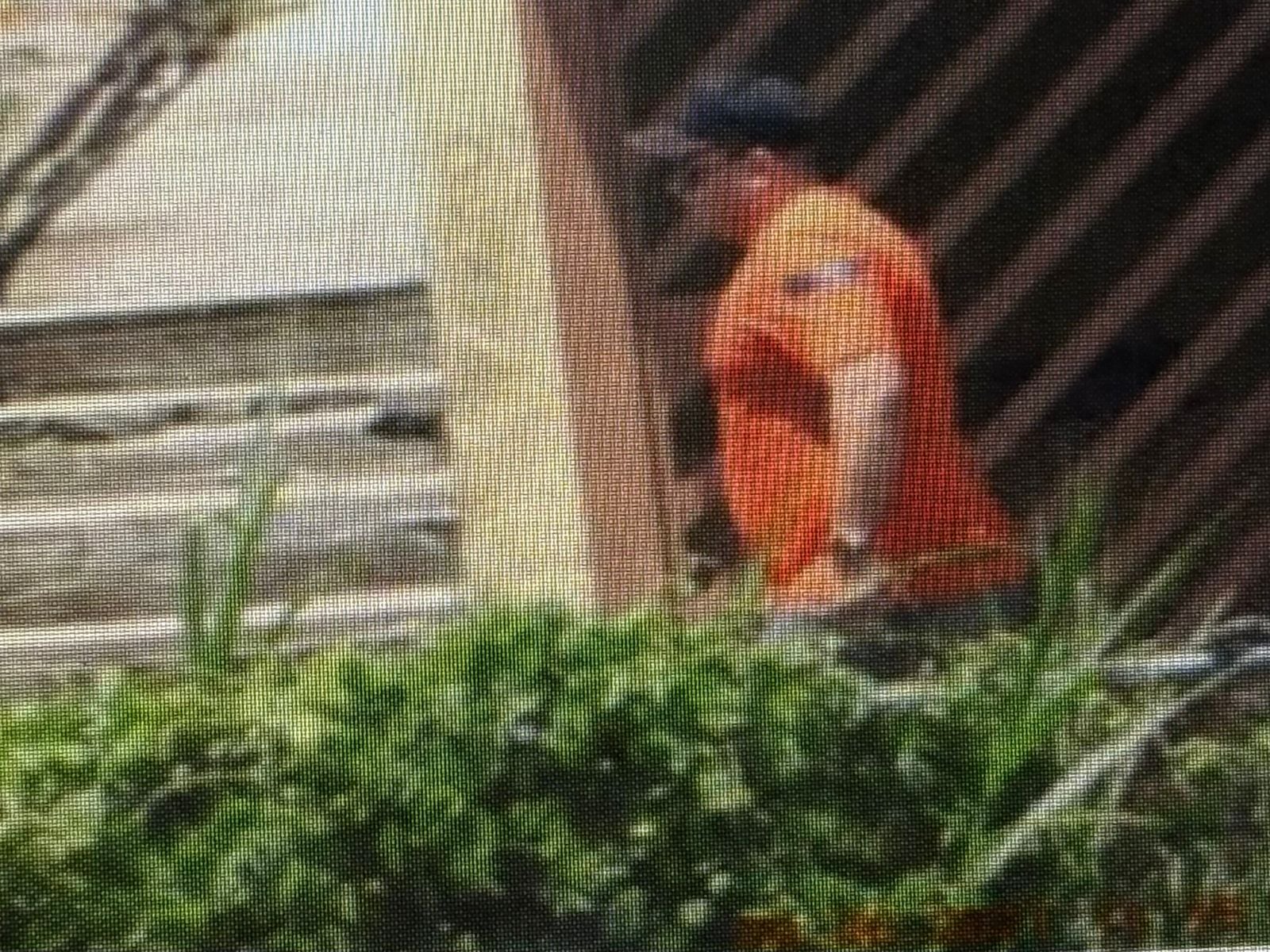 Michel Ricardo Quesada Meléndez, alias Shaggy, supuesto líder criminal de León XIII.