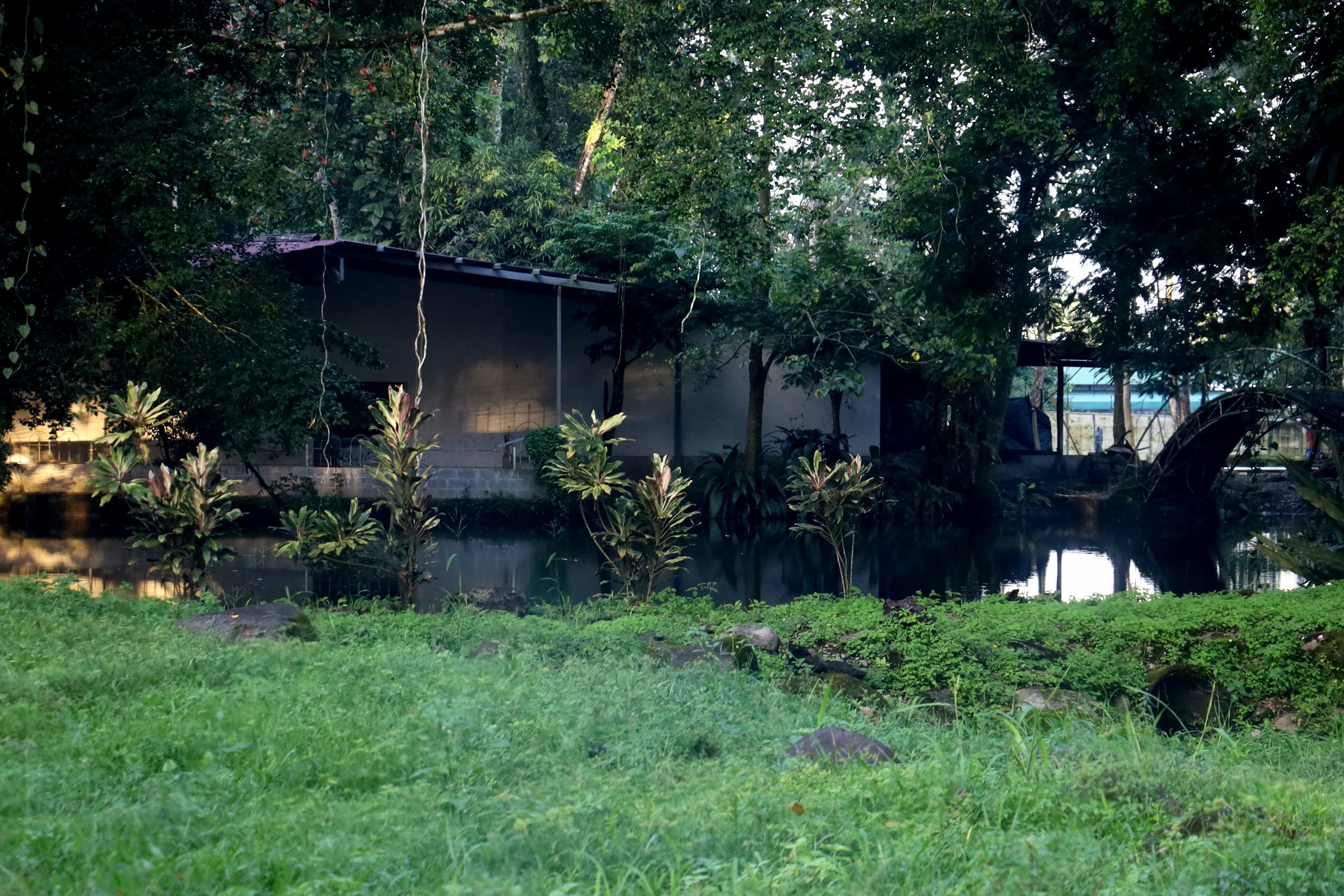 Este es el sitio donde ingresó el sospechoso para alejar las evidencias de las autoridades judiciales.