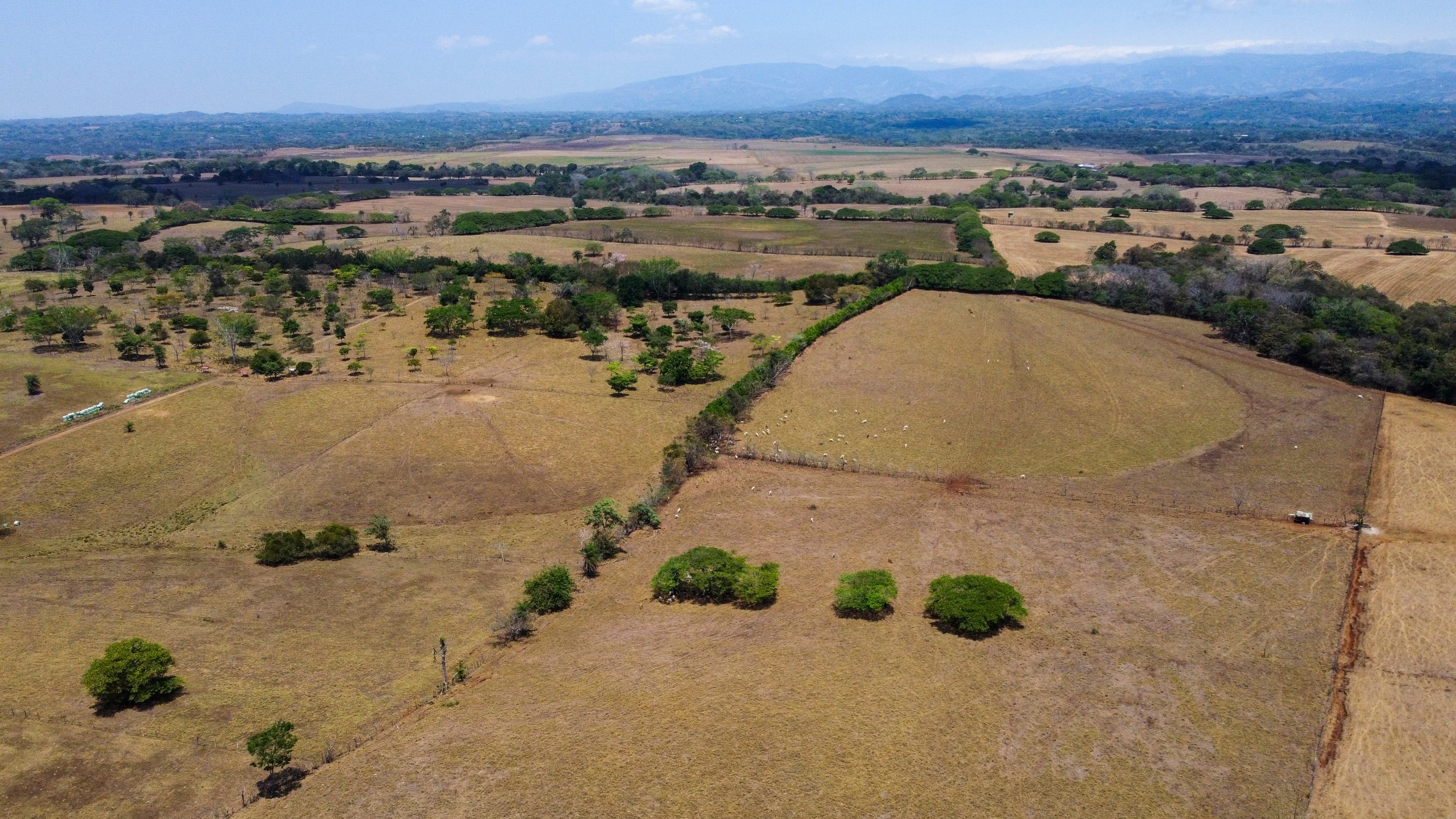 13/03/2025, Alajuela, Orotina, Mastate, fotografías de los terrenos donde el gobierno se plantea construir el aeropuerto internacional en Orotina.