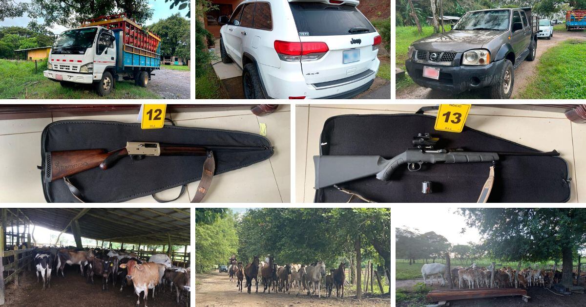 Parte de lo decomisado