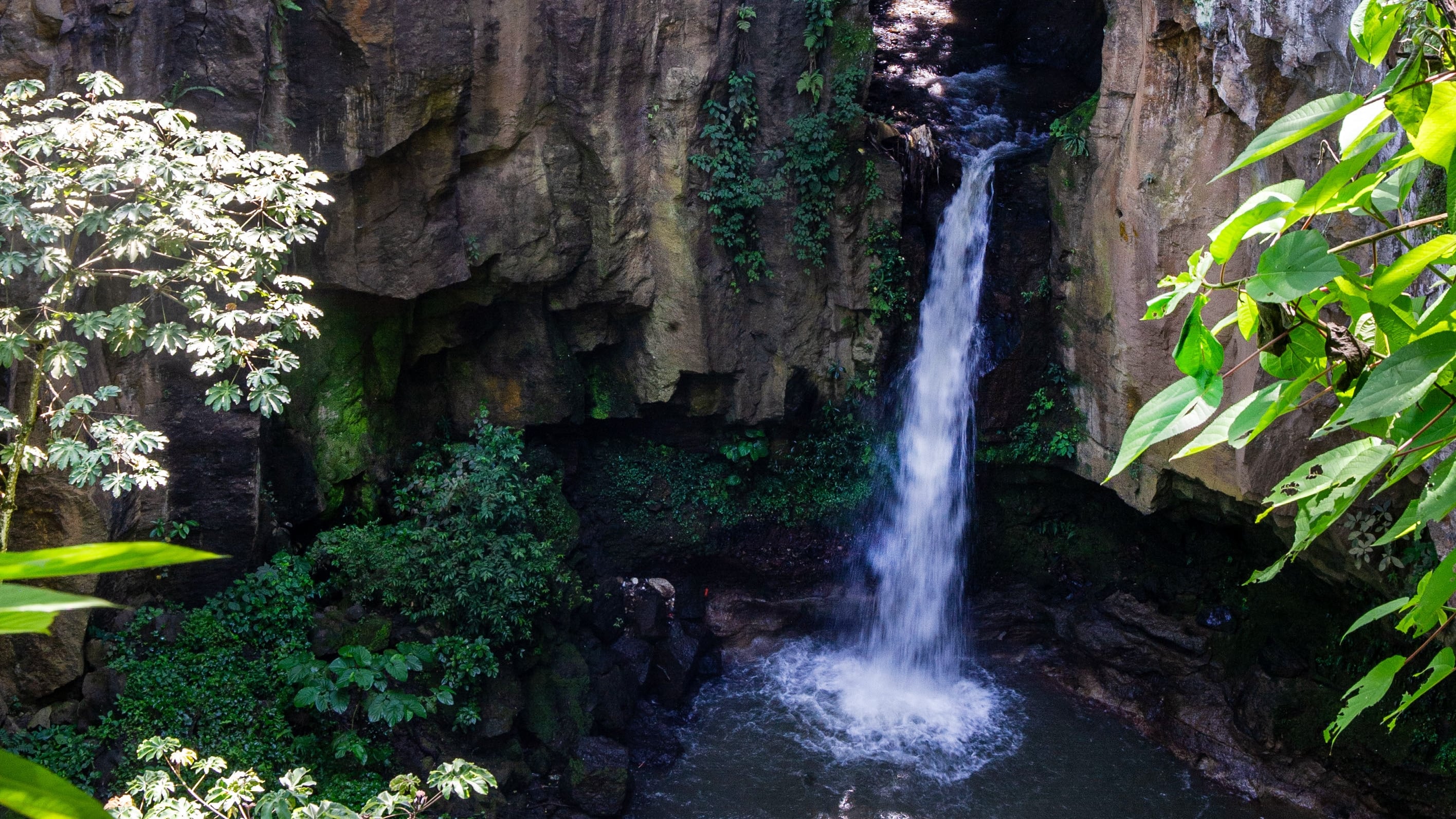 Parque natural urbano Lorne Ross
