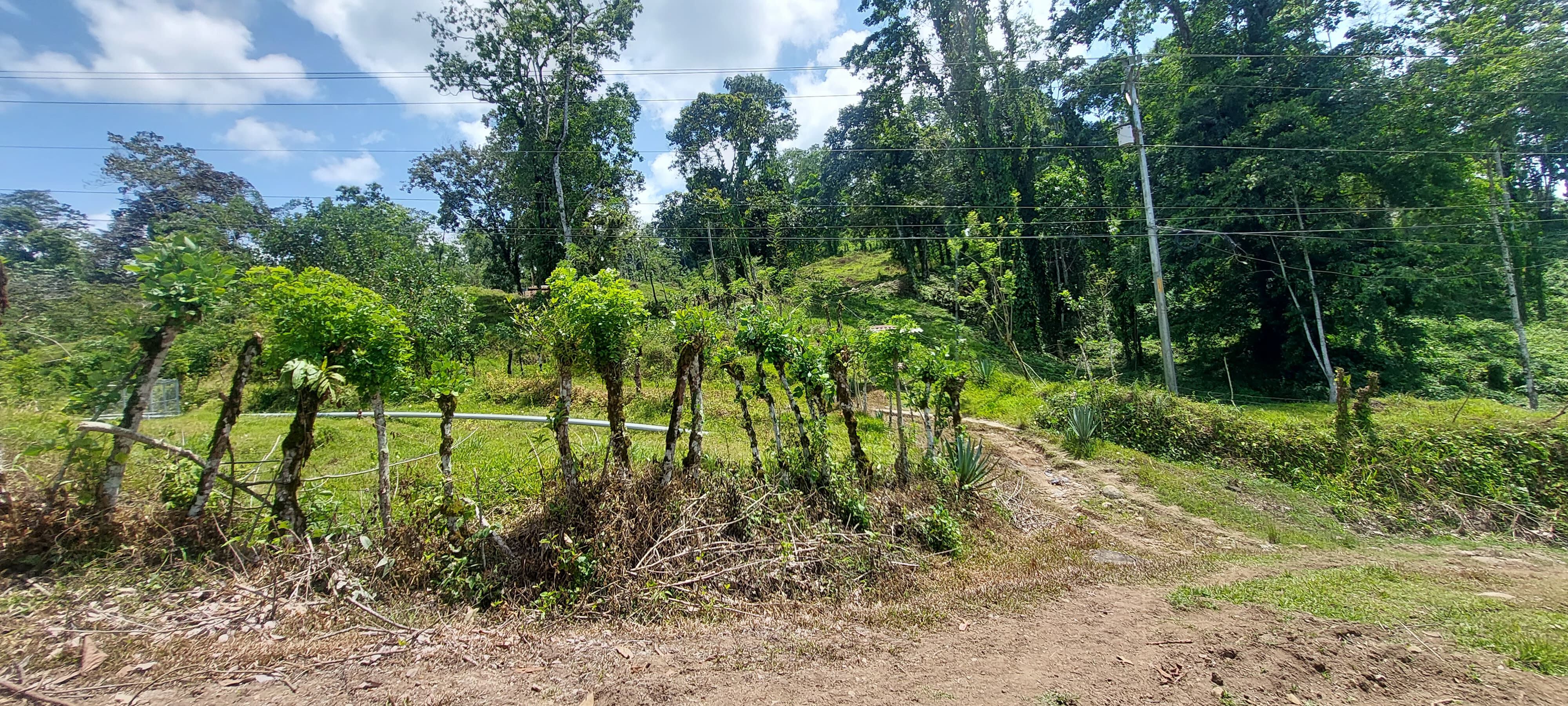 La finca allanada se ubica en una zona montañosa, en Tres Equis de Turrialba.