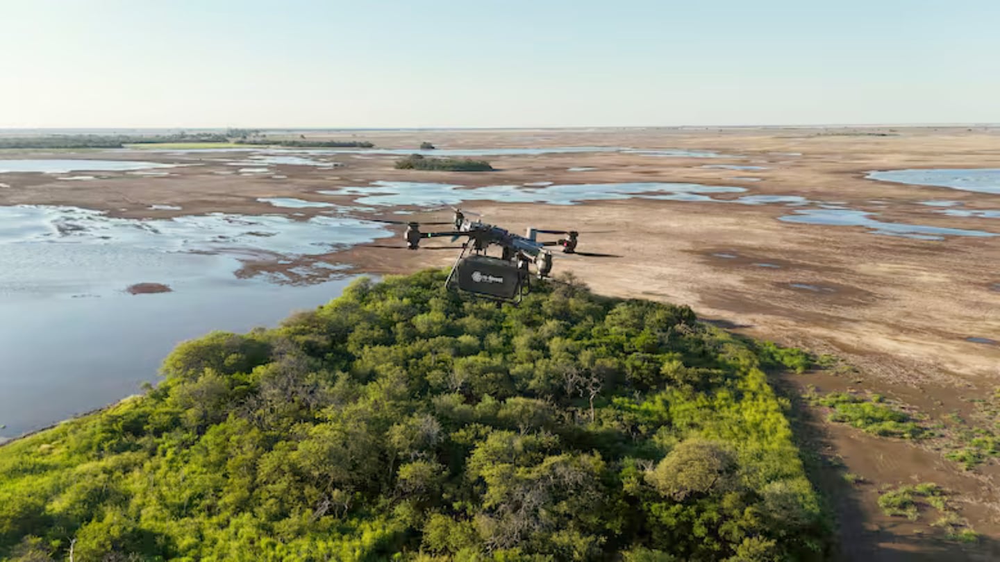 Drones siembran miles de árboles en el Gran Chaco: la tecnología que busca revertir la deforestación