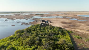 Drones siembran miles de árboles en el Gran Chaco: la tecnología que busca revertir la deforestación