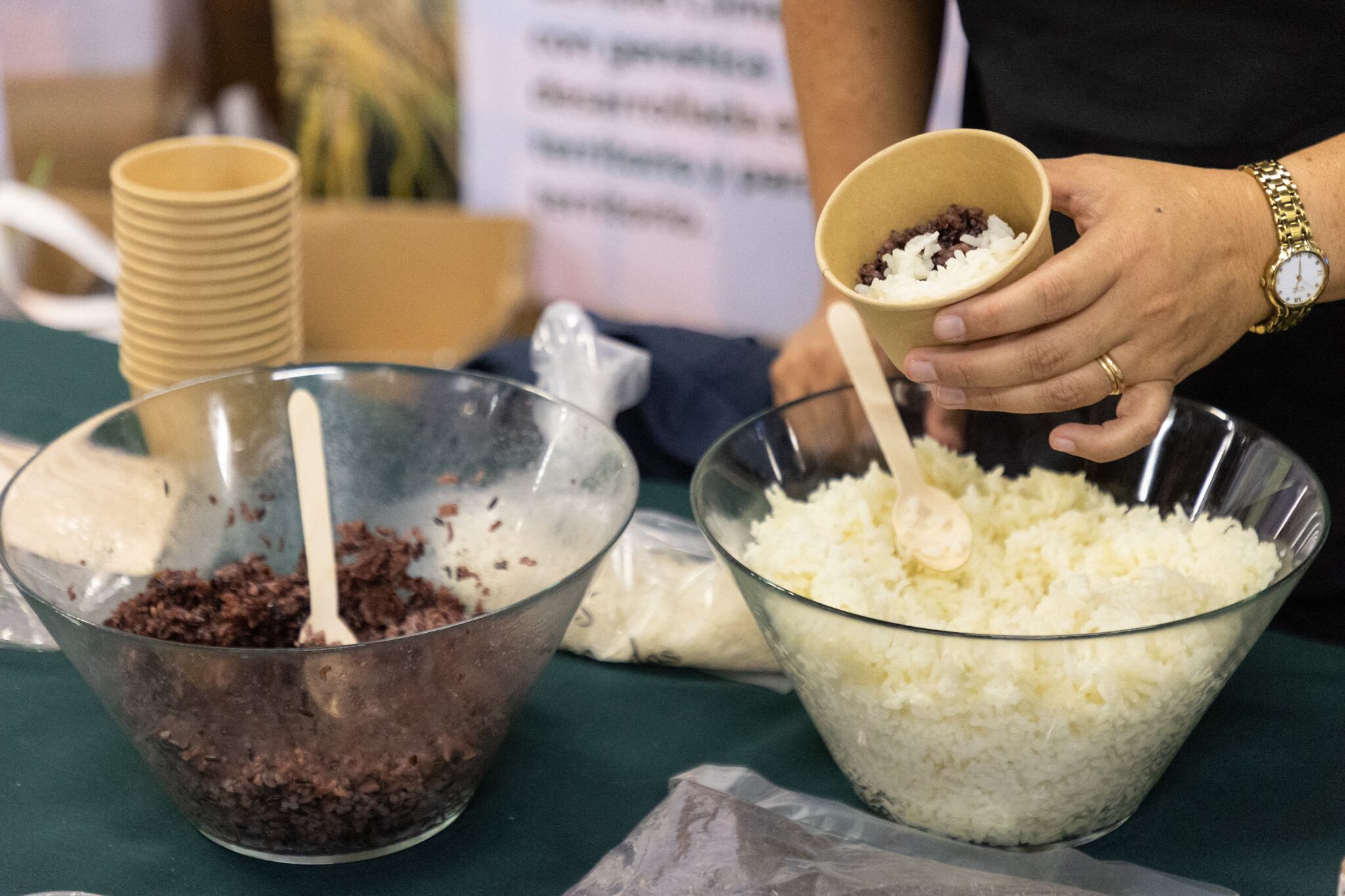 Vista aérea de trabajadores cosechando arroz en Ñiquén, región de Ñuble, Chile, el 9 de abril de 2025. Ante la histórica sequía que afecta a Chile desde hace unos quince años debido al cambio climático, la científica Karla Cordero, del Instituto Nacional de Investigaciones Agropecuarias (INIA), ha desarrollado una nueva variedad de arroz resultado del cruce entre una semilla chilena y otra de origen ruso, mejor adaptada a climas fríos y secos. (Foto de RAUL BRAVO / AFP)