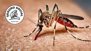 Vacunación contra fiebre amarilla en la CCSS: estas son las reglas del juego